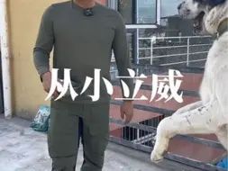 它听你话不是因为你对它多好