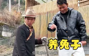 回来了，萝卜炖猪带着兔子和他一脑壳的技术回来了
