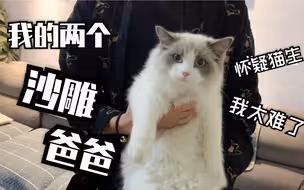 漫画里的cp.｜猫生拥有两个爸爸是什么体验？？双份宠溺