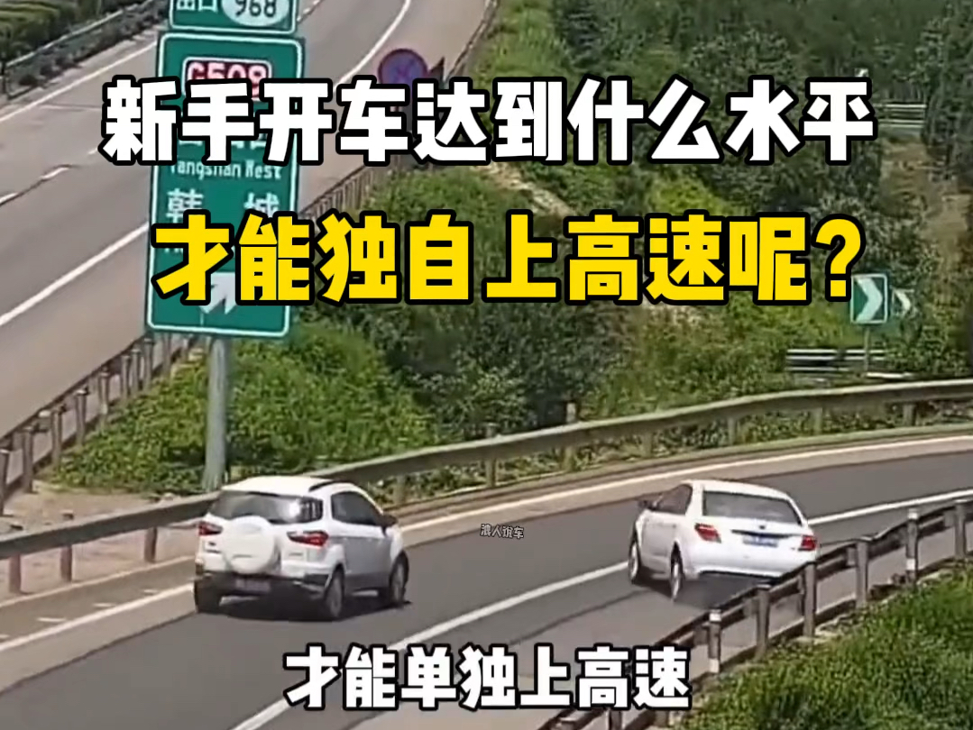 新手开车，达到什么水平，才能独自上高速？ #每天一个用车知识 #车知识分享计划 #新手上路