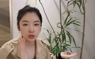 百合竹真的很适合室内养，这次没有上当！