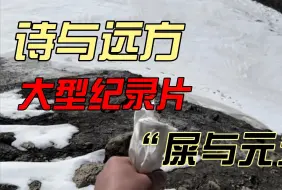 ①大型纪录片之”屎与元芳“-
