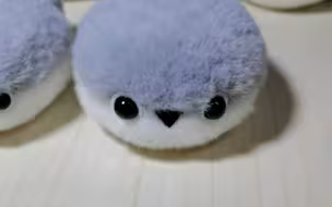 看看鱼