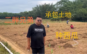 二胖兄弟承包土地种西瓜，今年大赚一笔