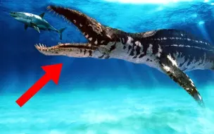 史前5种最强海洋怪兽，哪个属于海怪最强王者？恐怖海洋巨兽