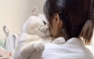 我的小猫咪肯定觉得我爱死他了…