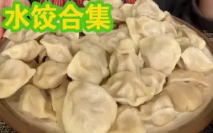 【水饺合集】酸菜肉馅，酸汤水饺，海底总动员水饺，油泼饺子，韩式配泡菜煎饺，韭菜猪肉，猪肉香菇馅，煎饺，野菜鲜肉馅