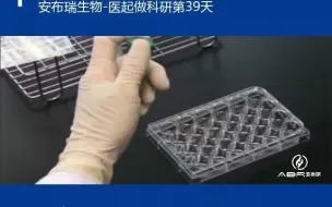 【生物医学实验室日常】RNAi转染的实验技巧