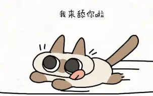 【猫猫冲！】向你飞来的暹罗猫小豆泥！动态表情包第二弹